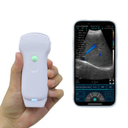 Dolphin C10RL wireless ultrasound 